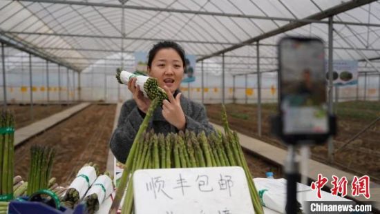 图为在江西省南昌市新建区石埠镇梦飞田园芦笋产业示范种植基地，主播正在直播带货。余孔辉 摄